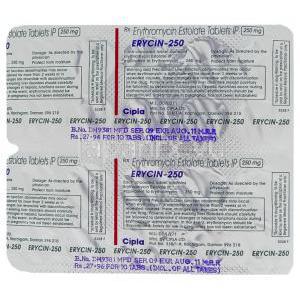 エリシン Erycin, エリスロマイシン・エストレート 250 mg 錠 包装裏面