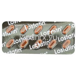 ロバスタチン, LOSTATIN, 10MG 錠  (DR.REDDY)